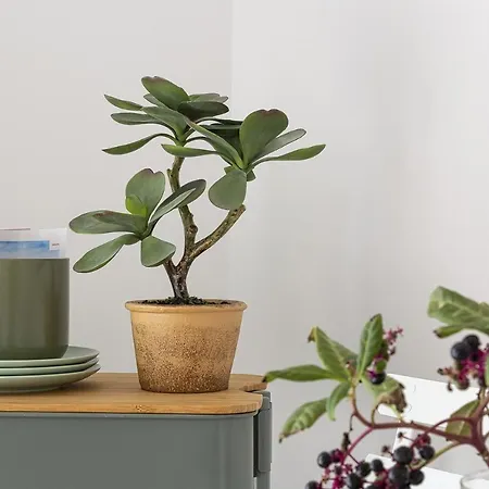 Deluxe By Wonderful Italy * Genova